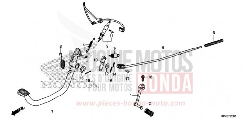 PEDALE (GLR1251WHH) GLR1251WHH de 2017